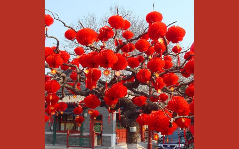 đèn lồng tết