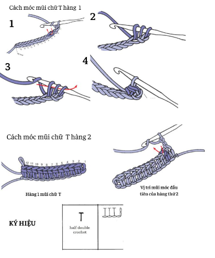 Mũi nửa kép