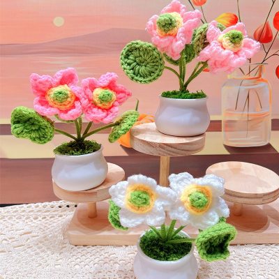 Hoa len handmade để bàn